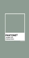 Cover of pantone cluster