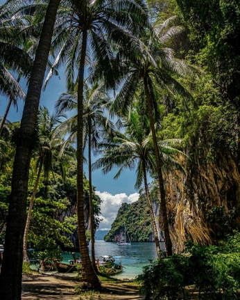 A cover of "Thailand" cluster. The owner is roozbehm. The cluster consists of 3 elements.