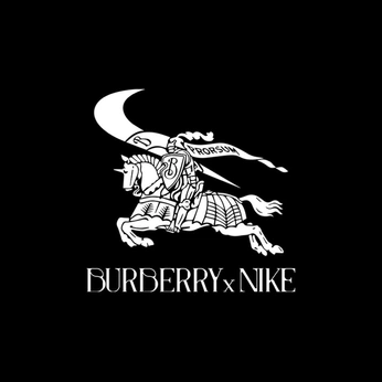 A cover of "Logos" cluster. The owner is hugo01. The cluster description is "Logos for practice and real clients.". The cluster consists of 23 elements.