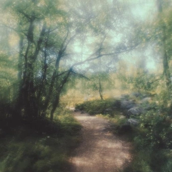 A cover of "Voyage" cluster. The owner is almaa.snz. The cluster consists of 11 elements.