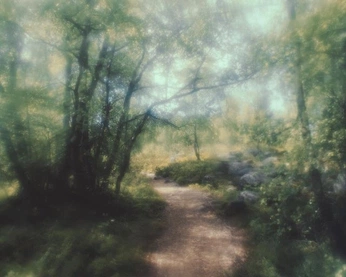 A cover of "Paradise" cluster. The owner is illie. The cluster consists of 3 elements.