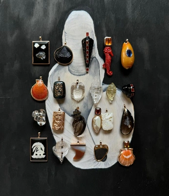 A cover of "Shells" cluster. The owner is hanaagroni. The cluster consists of 11 elements.