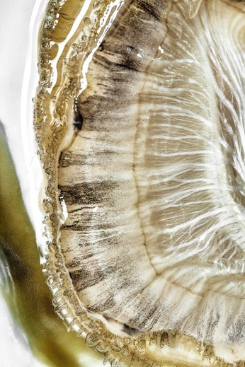 A cover of "Elements" cluster. The owner is eksh0. The cluster consists of 29 elements.