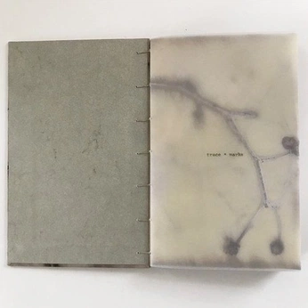 A cover of "journals" cluster. The owner is purplejournals. The cluster consists of 6 elements.