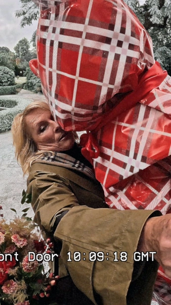 A cover of "BURBERRY HC" cluster. The owner is ailev. The cluster consists of 9 elements.