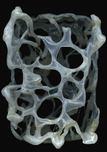 A cover of "BODY" cluster. The owner is ahulia. The cluster description is "Bones bio mechanic organic". The cluster consists of 59 elements.