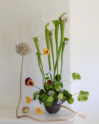 A cover of "Flower Arrangmenta" cluster. The owner is orimalka. The cluster consists of 7 elements.