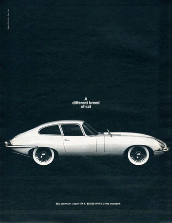 A cover of "Poster designs" cluster. The owner is elisamaria. The cluster consists of 6 elements.