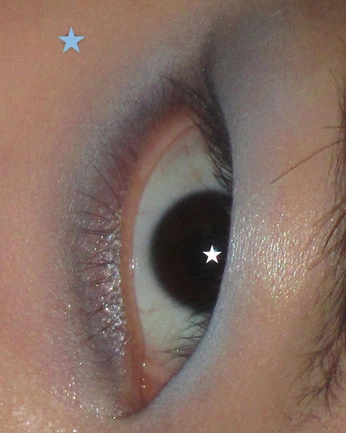 A cover of "makeup" cluster. The owner is squeakoid. The cluster consists of 2 elements.