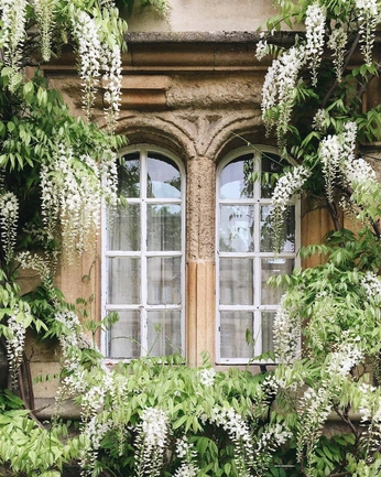 A cover of "regency" cluster. The owner is alphecca. The cluster consists of 1 element.