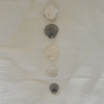 A cover of "Curatedme" cluster. The owner is oruhe. The cluster consists of 18 elements.