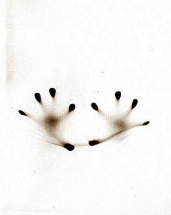 A cover of "maglietta bianca" cluster. The owner is blblbla. The cluster consists of 3 elements.