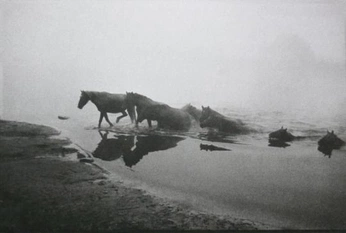 A cover of "west" cluster. The owner is movaie. The cluster consists of 36 elements.