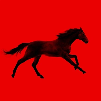 A cover of "Horses" cluster. The owner is notbylght. The cluster consists of 100 elements.