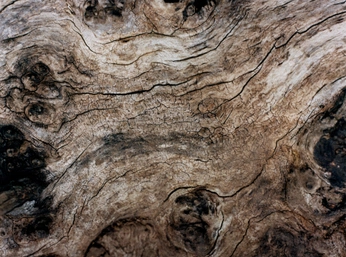 A cover of "Collages" cluster. The owner is maafeespitia. The cluster consists of 1 element.