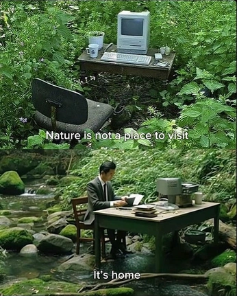 A cover of "hiraya" cluster. The owner is reecespieces. The cluster consists of 3 elements.