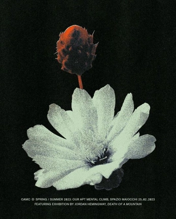 A cover of "Photo" cluster. The owner is cosmiccat13. The cluster consists of 20 elements.