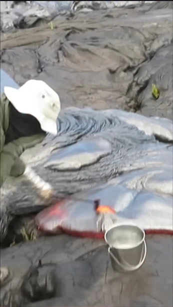 A cover of "Why not" cluster. The owner is zos999. The cluster consists of 11 elements.