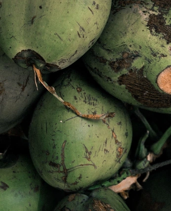 A cover of "tropics" cluster. The owner is bellezaentodo. The cluster description is "where id rather be". The cluster consists of 40 elements.