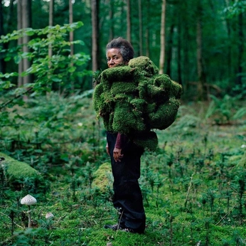 A cover of "🌿 Nature | Nurture 🌞" cluster. The owner is huemood. The cluster description is "Escape to Nature". The cluster consists of 509 elements.