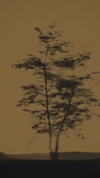 A cover of "ROOT INSPO" cluster. The owner is dancarpenter. The cluster consists of 11 elements.