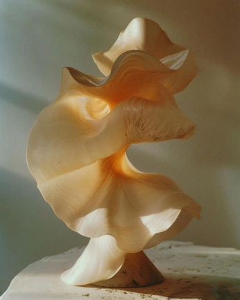 A cover of "Pastel" cluster. The owner is sundownatelier. The cluster consists of 9 elements.