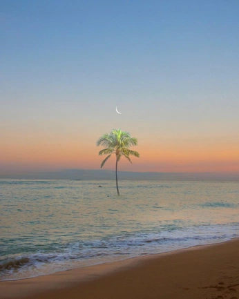 A cover of "Video" cluster. The owner is manikhan028. The cluster consists of 6 elements.