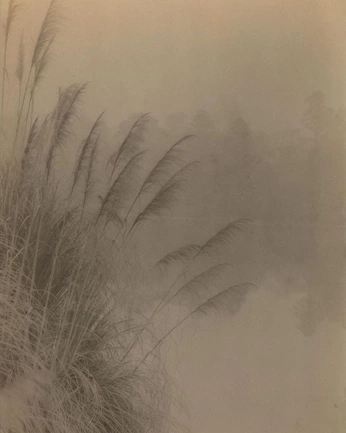 A cover of "~just jasmine~" cluster. The owner is jazzymoonbeam. The cluster consists of 71 elements.