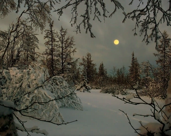 A cover of "lookies!" cluster. The owner is bewareofpity. The cluster consists of 10 elements.