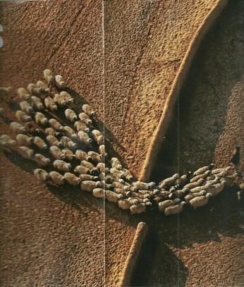 A cover of "Monday Mood" cluster. The owner is finna. The cluster consists of 10 elements.