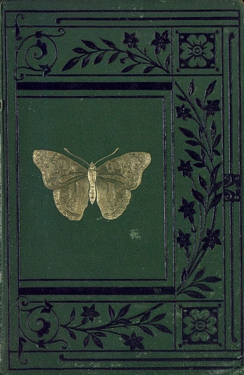 A cover of "Book cover" cluster. The owner is helie. The cluster consists of 54 elements.