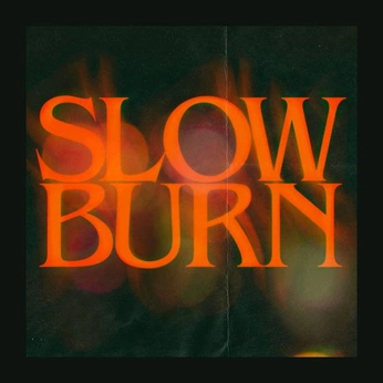 A cover of "TYPOGRAPHIC POSTER" cluster. The owner is brandyb. The cluster consists of 234 elements.