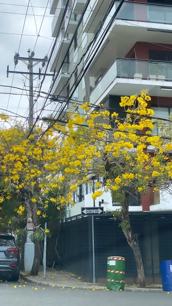 A cover of "Visual" cluster. The owner is alehilarioa. The cluster consists of 13 elements.