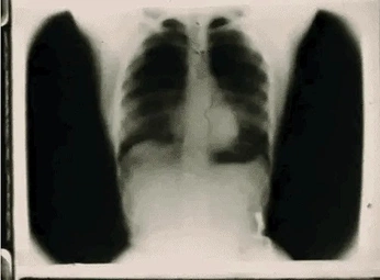 A cover of "Yoho ahoi ⚓️" cluster. The owner is gnkhshhh. The cluster consists of 30 elements.