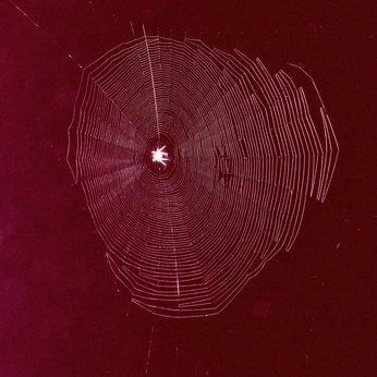 A cover of "Soft like Wine" cluster. The owner is iloveit. The cluster consists of 15 elements.