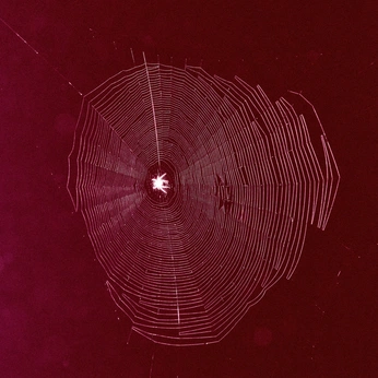 A cover of "gossamer love" cluster. The owner is elixiiiri. The cluster consists of 147 elements.