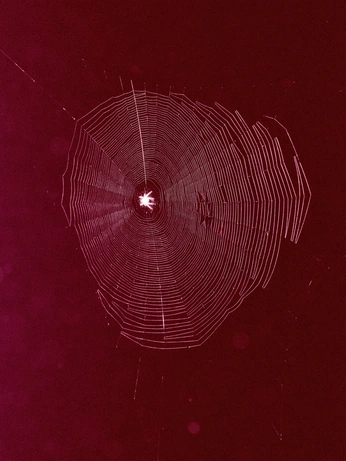 A cover of "cool graphics" cluster. The owner is secretlynowhere. The cluster consists of 63 elements.