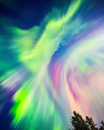 A cover of "Nature" cluster. The owner is eilamapola. The cluster consists of 2 elements.