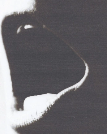 A cover of "Album covers" cluster. The owner is eposvox. The cluster consists of 85 elements.