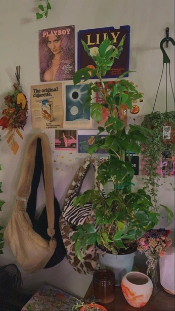 A cover of "interior" cluster. The owner is angilikesbooks. The cluster consists of 3 elements.