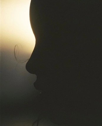 A cover of "Element" cluster. The owner is vanellimel. The cluster consists of 1 element.