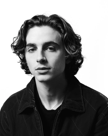 A cover of "timothée chalamet 🫀" cluster. The owner is decayinghearts. The cluster consists of 30 elements.