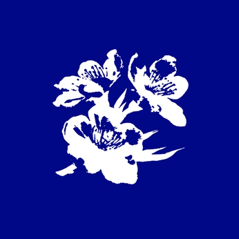 A cover of "Graphic design" cluster. The owner is bellasartes. The cluster consists of 20 elements.