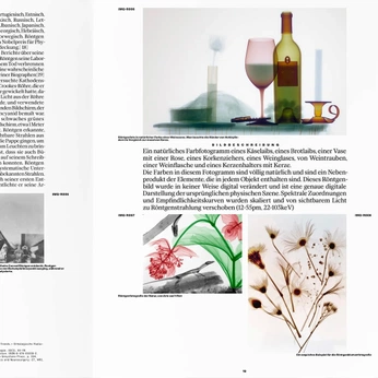 A cover of "Design" cluster. The owner is lucasvocos. The cluster consists of 12 elements.