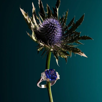 A cover of "MaisonSaphir TexturColor" cluster. The owner is acemase. The cluster description is "For logo, typography, monogram, wordmark". The cluster consists of 138 elements.