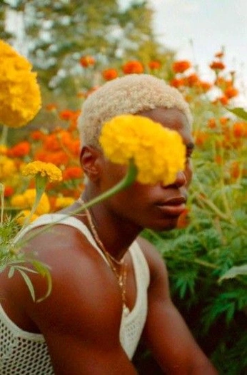 A cover of "Photography" cluster. The owner is milothinks. The cluster consists of 18 elements.