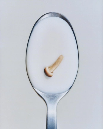 A cover of "Random" cluster. The owner is kissesandfugs. The cluster consists of 7 elements.