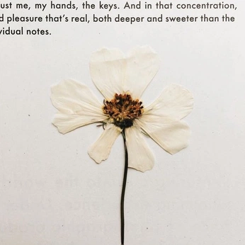 A cover of "MY PROJECT" cluster. The owner is jlloryrei. The cluster consists of 1 element.