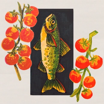 A cover of "fish paint" cluster. The owner is murti. The cluster consists of 44 elements.