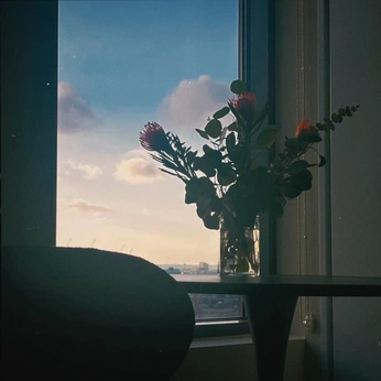 A cover of "My Feed" cluster. The owner is markserranopro. The cluster consists of 9 elements.